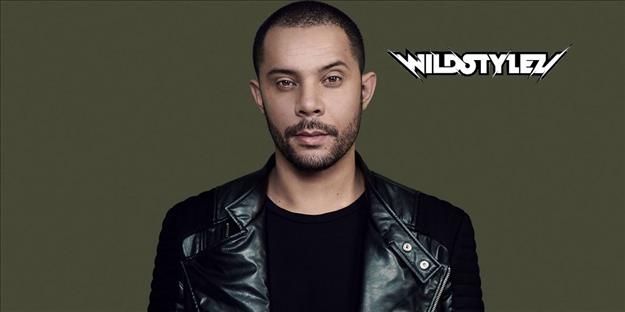 Wildstylez