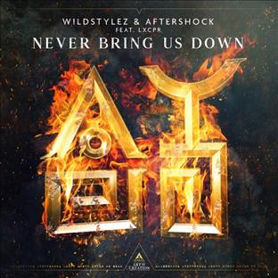 Wildstylez - Never Bring Us Down (Feat. Aftershock)