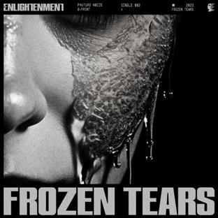 Phuture Noize - Frozen Tears
