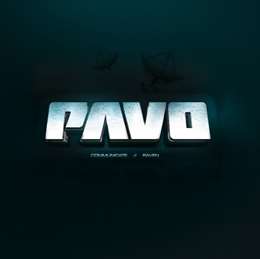 Pavo - Communicate