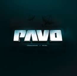 Pavo - Rave