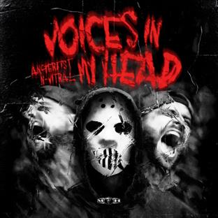 Angerfist - Voices In My Head