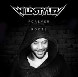 Wildstylez - Roots