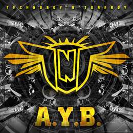 TNT - A.Y.B.