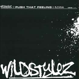 Wildstylez - Push That Feeling