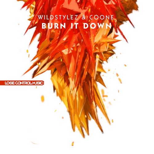 Wildstylez - Burn It Dow