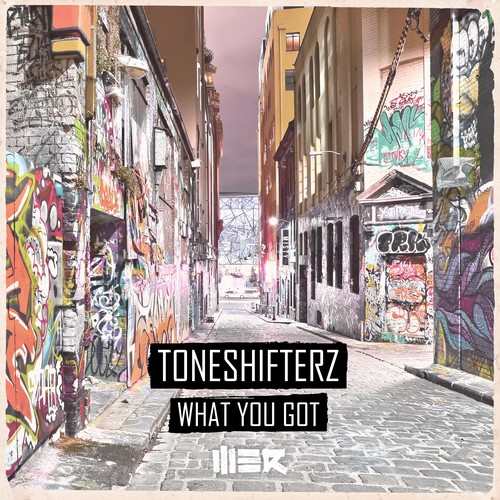 Toneshifterz - What You Got