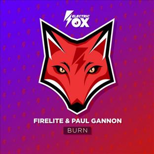 Firelite - Burn (Feat. Paul Gannon)
