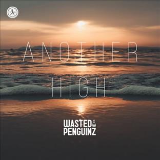 Wasted Penguinz - Another High