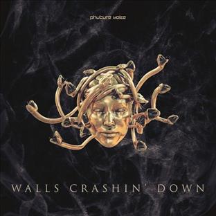 Phuture Noize - Walls Crashin' Down
