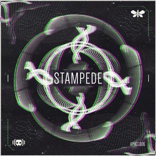 Audiofreq - Stampede