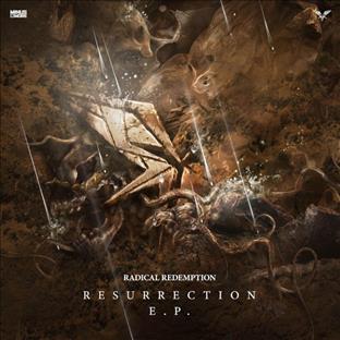 Radical Redemption - Accumulated Filth