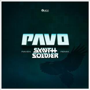 Pavo - Raven (Synthsoldier Remix)